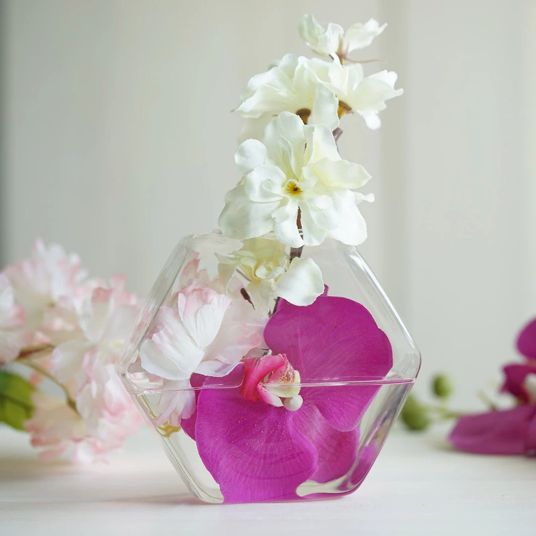 HIER_3400 3 Pack | Hexagon Glass Wall Vase | Indoor Wall Mounted Planters | Hanging Terrariums 9 HIER_3400 3 Pack | Hexagon Glass Wall Vase | Indoor Wall Mounted Planters | Hanging Terrariums