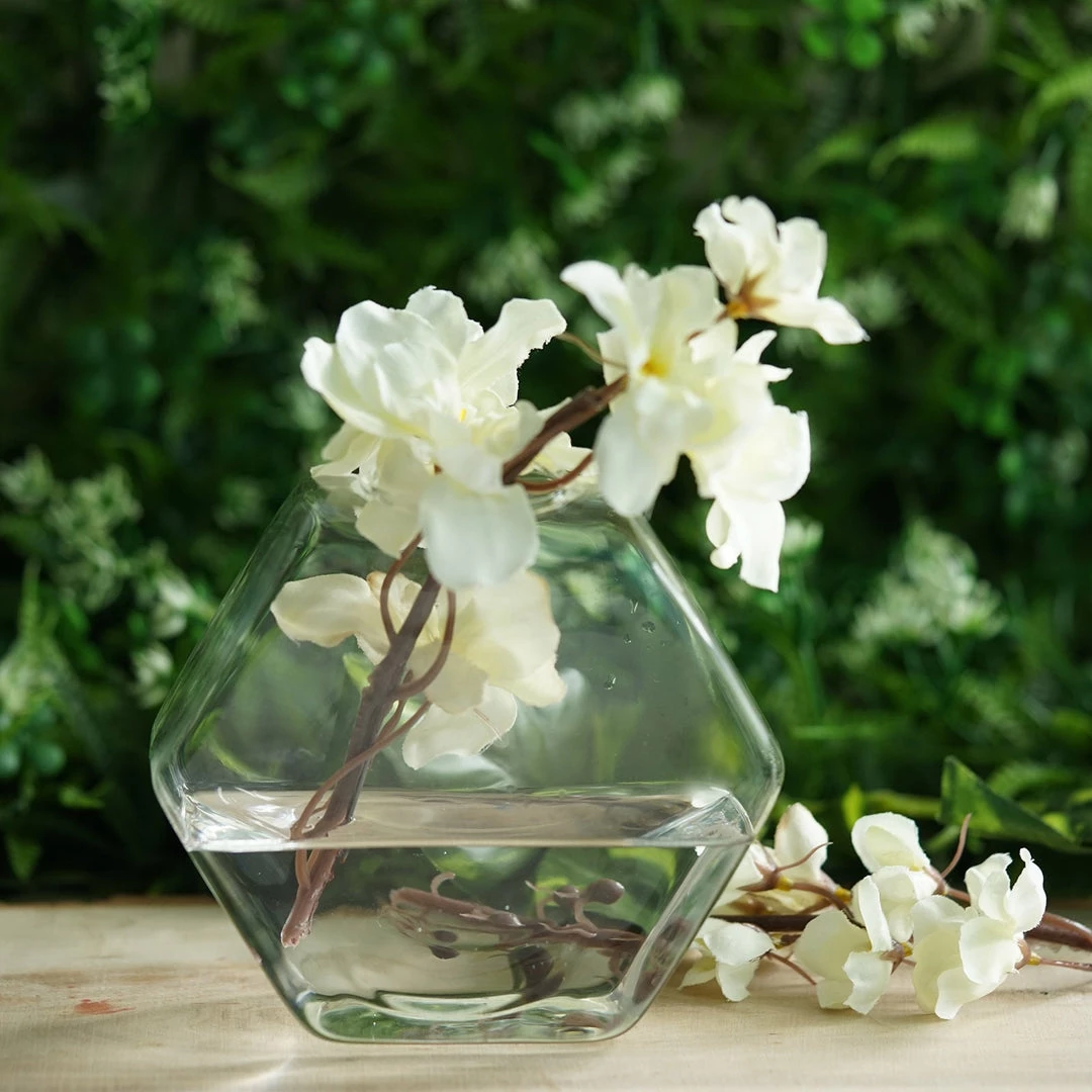 HIER_3400 3 Pack | Hexagon Glass Wall Vase | Indoor Wall Mounted Planters | Hanging Terrariums 10 HIER_3400 3 Pack | Hexagon Glass Wall Vase | Indoor Wall Mounted Planters | Hanging Terrariums