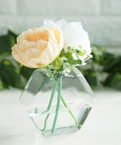 HIER_3400 3 Pack | Hexagon Glass Wall Vase | Indoor Wall Mounted Planters | Hanging Terrariums 49 HIER_3400 3 Pack | Hexagon Glass Wall Vase | Indoor Wall Mounted Planters | Hanging Terrariums