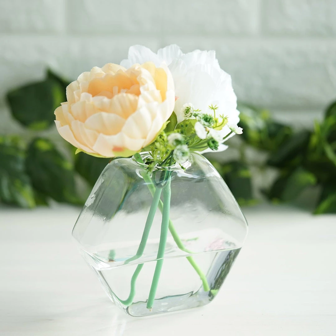 HIER_3400 3 Pack | Hexagon Glass Wall Vase | Indoor Wall Mounted Planters | Hanging Terrariums 12 HIER_3400 3 Pack | Hexagon Glass Wall Vase | Indoor Wall Mounted Planters | Hanging Terrariums