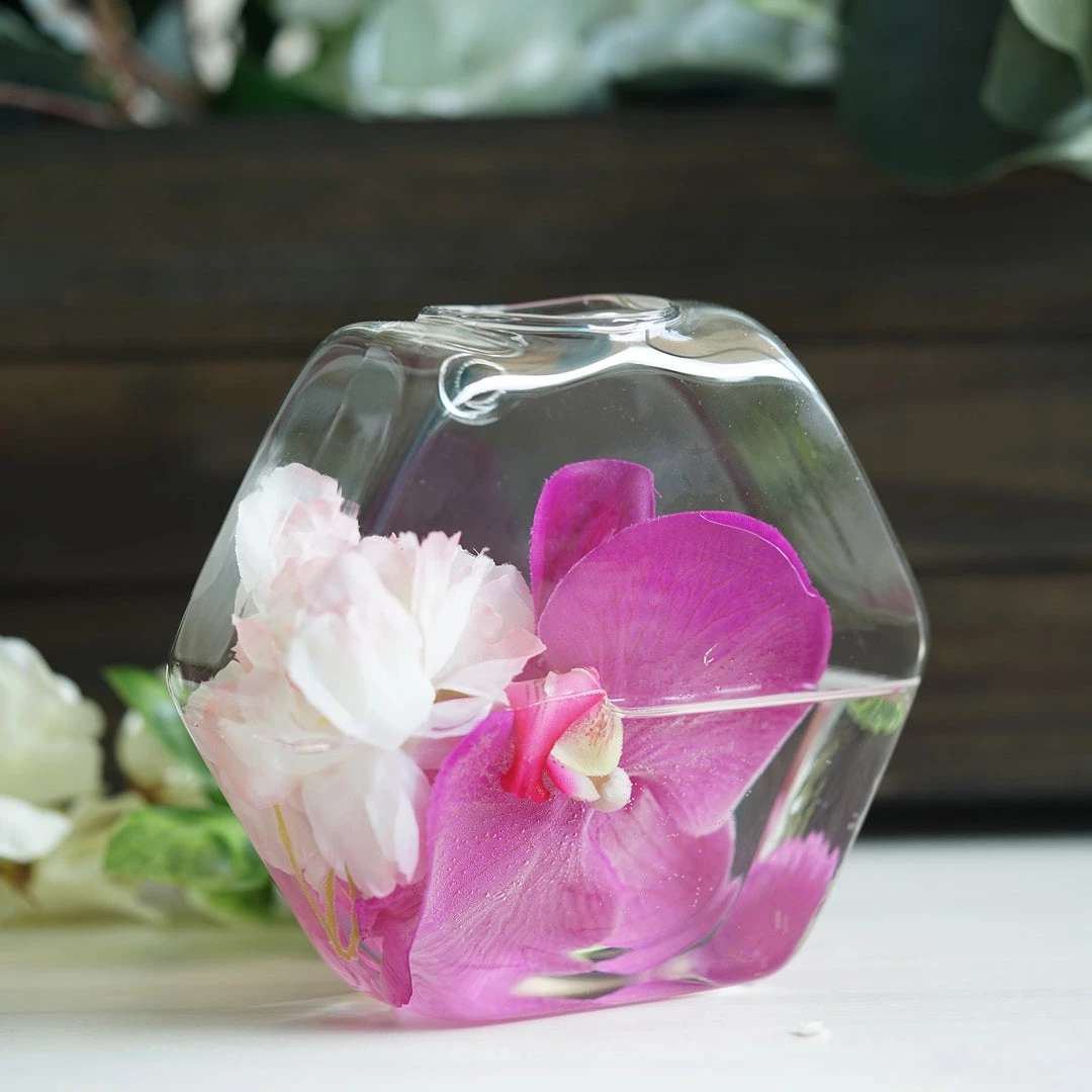 HIER_3400 3 Pack | Hexagon Glass Wall Vase | Indoor Wall Mounted Planters | Hanging Terrariums 13 HIER_3400 3 Pack | Hexagon Glass Wall Vase | Indoor Wall Mounted Planters | Hanging Terrariums