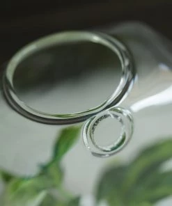 HIER_3400 3 Pack | Hexagon Glass Wall Vase | Indoor Wall Mounted Planters | Hanging Terrariums 51 HIER_3400 3 Pack | Hexagon Glass Wall Vase | Indoor Wall Mounted Planters | Hanging Terrariums