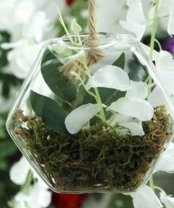 HIER_3400 3 Pack | Hexagon Glass Wall Vase | Indoor Wall Mounted Planters | Hanging Terrariums 54 HIER_3400 3 Pack | Hexagon Glass Wall Vase | Indoor Wall Mounted Planters | Hanging Terrariums