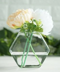 HIER_3400 3 Pack | Hexagon Glass Wall Vase | Indoor Wall Mounted Planters | Hanging Terrariums 55 HIER_3400 3 Pack | Hexagon Glass Wall Vase | Indoor Wall Mounted Planters | Hanging Terrariums