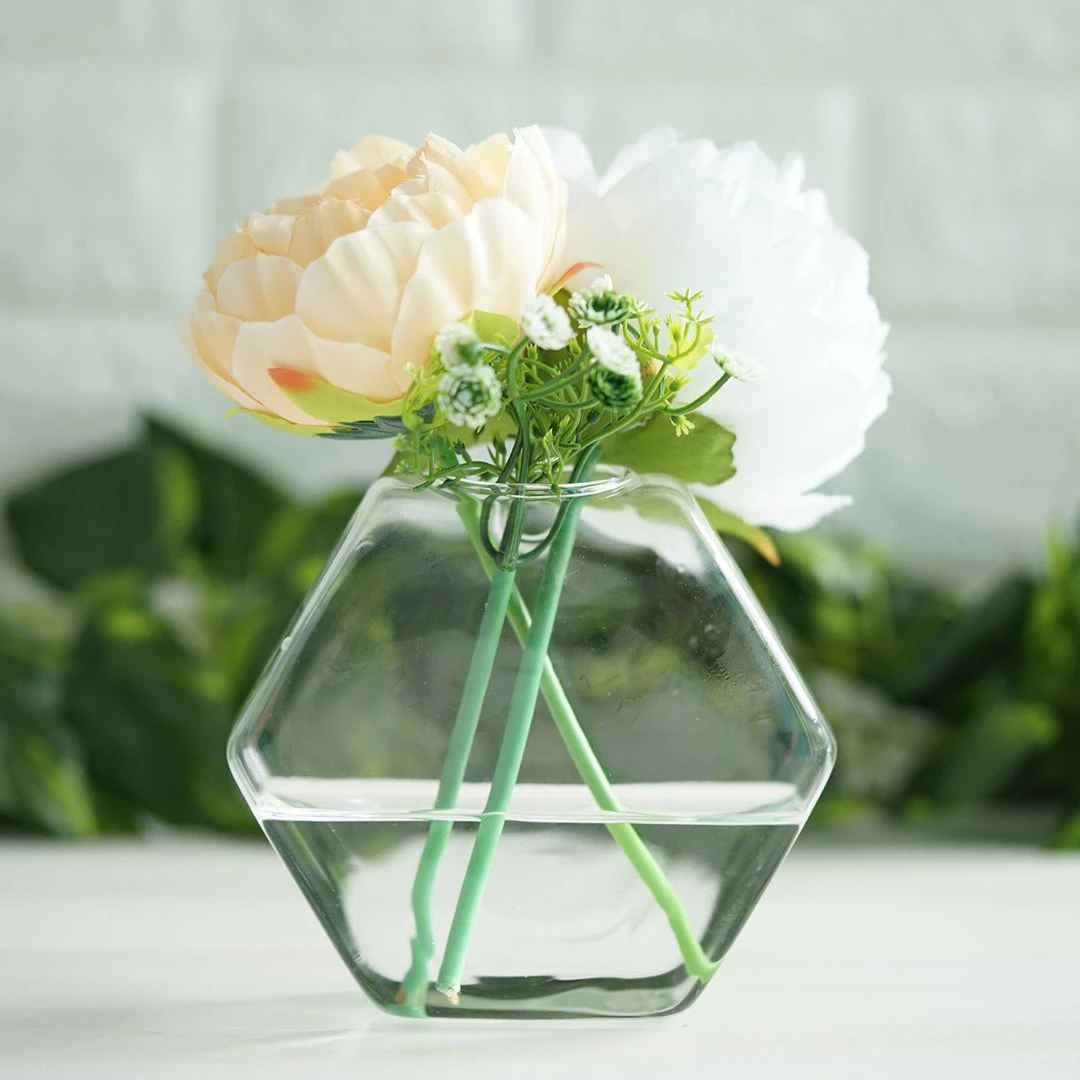 HIER_3400 3 Pack | Hexagon Glass Wall Vase | Indoor Wall Mounted Planters | Hanging Terrariums 18 HIER_3400 3 Pack | Hexagon Glass Wall Vase | Indoor Wall Mounted Planters | Hanging Terrariums