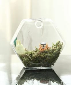 HIER_3400 3 Pack | Hexagon Glass Wall Vase | Indoor Wall Mounted Planters | Hanging Terrariums 56 HIER_3400 3 Pack | Hexagon Glass Wall Vase | Indoor Wall Mounted Planters | Hanging Terrariums