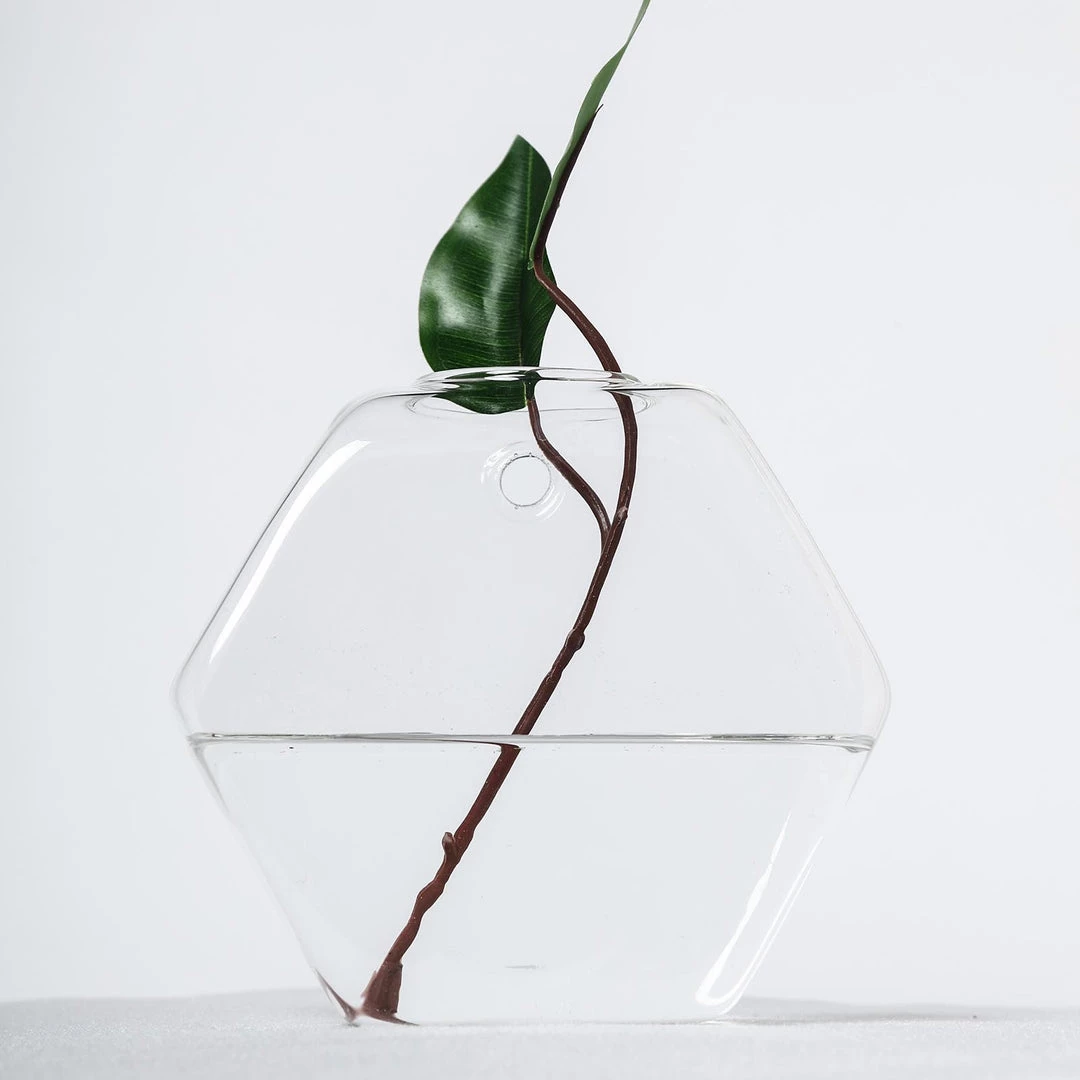 HIER_3400 3 Pack | Hexagon Glass Wall Vase | Indoor Wall Mounted Planters | Hanging Terrariums 25 HIER_3400 3 Pack | Hexagon Glass Wall Vase | Indoor Wall Mounted Planters | Hanging Terrariums