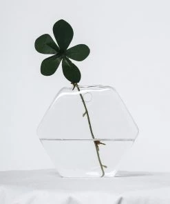 HIER_3400 3 Pack | Hexagon Glass Wall Vase | Indoor Wall Mounted Planters | Hanging Terrariums 63 HIER_3400 3 Pack | Hexagon Glass Wall Vase | Indoor Wall Mounted Planters | Hanging Terrariums