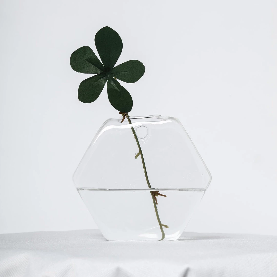 HIER_3400 3 Pack | Hexagon Glass Wall Vase | Indoor Wall Mounted Planters | Hanging Terrariums 26 HIER_3400 3 Pack | Hexagon Glass Wall Vase | Indoor Wall Mounted Planters | Hanging Terrariums