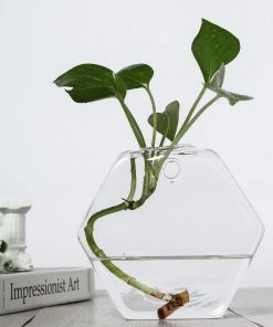 HIER_3400 3 Pack | Hexagon Glass Wall Vase | Indoor Wall Mounted Planters | Hanging Terrariums 64 HIER_3400 3 Pack | Hexagon Glass Wall Vase | Indoor Wall Mounted Planters | Hanging Terrariums