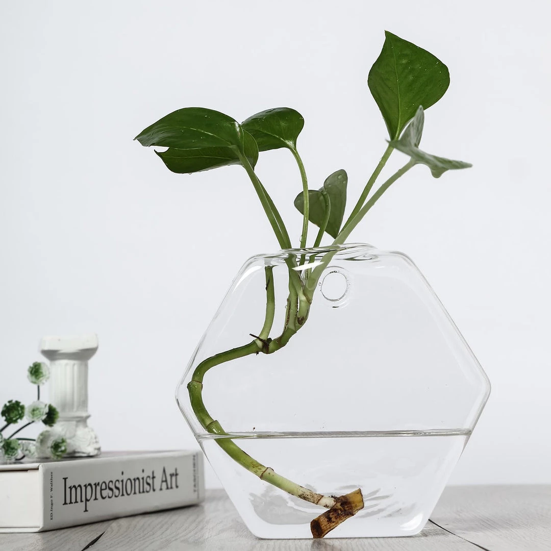 HIER_3400 3 Pack | Hexagon Glass Wall Vase | Indoor Wall Mounted Planters | Hanging Terrariums 27 HIER_3400 3 Pack | Hexagon Glass Wall Vase | Indoor Wall Mounted Planters | Hanging Terrariums