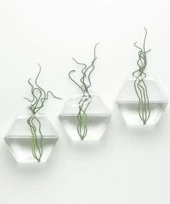 HIER_3400 3 Pack | Hexagon Glass Wall Vase | Indoor Wall Mounted Planters | Hanging Terrariums 67 HIER_3400 3 Pack | Hexagon Glass Wall Vase | Indoor Wall Mounted Planters | Hanging Terrariums
