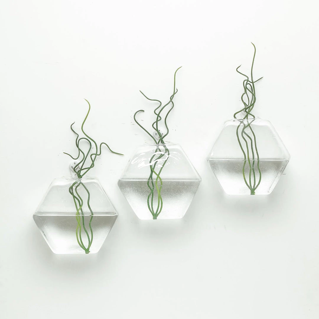 HIER_3400 3 Pack | Hexagon Glass Wall Vase | Indoor Wall Mounted Planters | Hanging Terrariums 30 HIER_3400 3 Pack | Hexagon Glass Wall Vase | Indoor Wall Mounted Planters | Hanging Terrariums