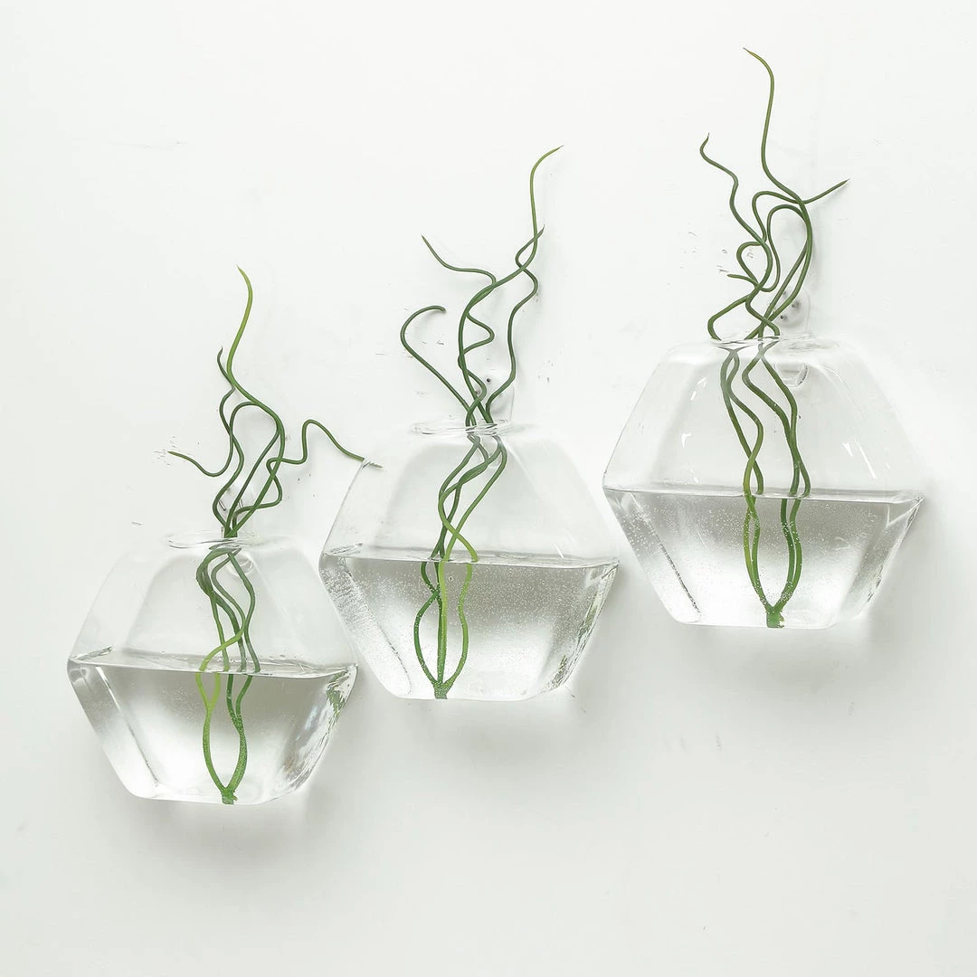 HIER_3400 3 Pack | Hexagon Glass Wall Vase | Indoor Wall Mounted Planters | Hanging Terrariums 31 HIER_3400 3 Pack | Hexagon Glass Wall Vase | Indoor Wall Mounted Planters | Hanging Terrariums