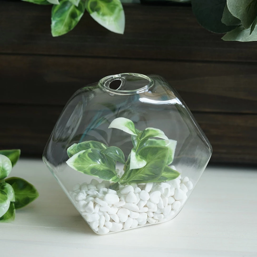 HIER_3400 3 Pack | Hexagon Glass Wall Vase | Indoor Wall Mounted Planters | Hanging Terrariums 8 HIER_3400 3 Pack | Hexagon Glass Wall Vase | Indoor Wall Mounted Planters | Hanging Terrariums