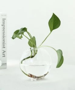 HIER_5200 Chargers & Centerpieces 3 Pack | Classic Round Glass Wall Vase | Indoor Wall Mounted Planters | Hanging Terrariums