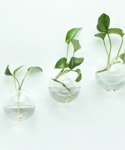 HIER_5200 Chargers & Centerpieces 3 Pack | Classic Round Glass Wall Vase | Indoor Wall Mounted Planters | Hanging Terrariums