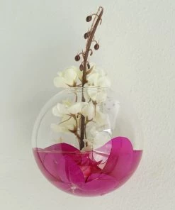 HIER_3400 3 Pack | Modish Round Glass Wall Vase | Indoor Wall Mounted Planters | Hanging Terrariums