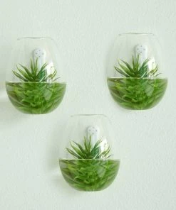 HIER_5200 Chargers & Centerpieces 3 Pack | Egg Shaped Glass Wall Vase | Indoor Wall Mounted Planters | Hanging Terrariums