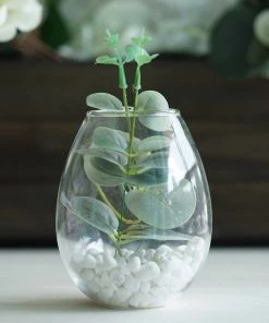 HIER_5200 Chargers & Centerpieces 3 Pack | Egg Shaped Glass Wall Vase | Indoor Wall Mounted Planters | Hanging Terrariums 49 HIER_5200 Chargers & Centerpieces 3 Pack | Egg Shaped Glass Wall Vase | Indoor Wall Mounted Planters | Hanging Terrariums