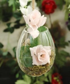 HIER_5200 Chargers & Centerpieces 3 Pack | Egg Shaped Glass Wall Vase | Indoor Wall Mounted Planters | Hanging Terrariums 51 HIER_5200 Chargers & Centerpieces 3 Pack | Egg Shaped Glass Wall Vase | Indoor Wall Mounted Planters | Hanging Terrariums