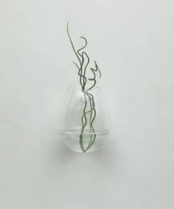 HIER_5200 Chargers & Centerpieces 3 Pack | Egg Shaped Glass Wall Vase | Indoor Wall Mounted Planters | Hanging Terrariums 59 HIER_5200 Chargers & Centerpieces 3 Pack | Egg Shaped Glass Wall Vase | Indoor Wall Mounted Planters | Hanging Terrariums