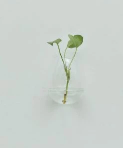 HIER_5200 Chargers & Centerpieces 3 Pack | Egg Shaped Glass Wall Vase | Indoor Wall Mounted Planters | Hanging Terrariums 61 HIER_5200 Chargers & Centerpieces 3 Pack | Egg Shaped Glass Wall Vase | Indoor Wall Mounted Planters | Hanging Terrariums