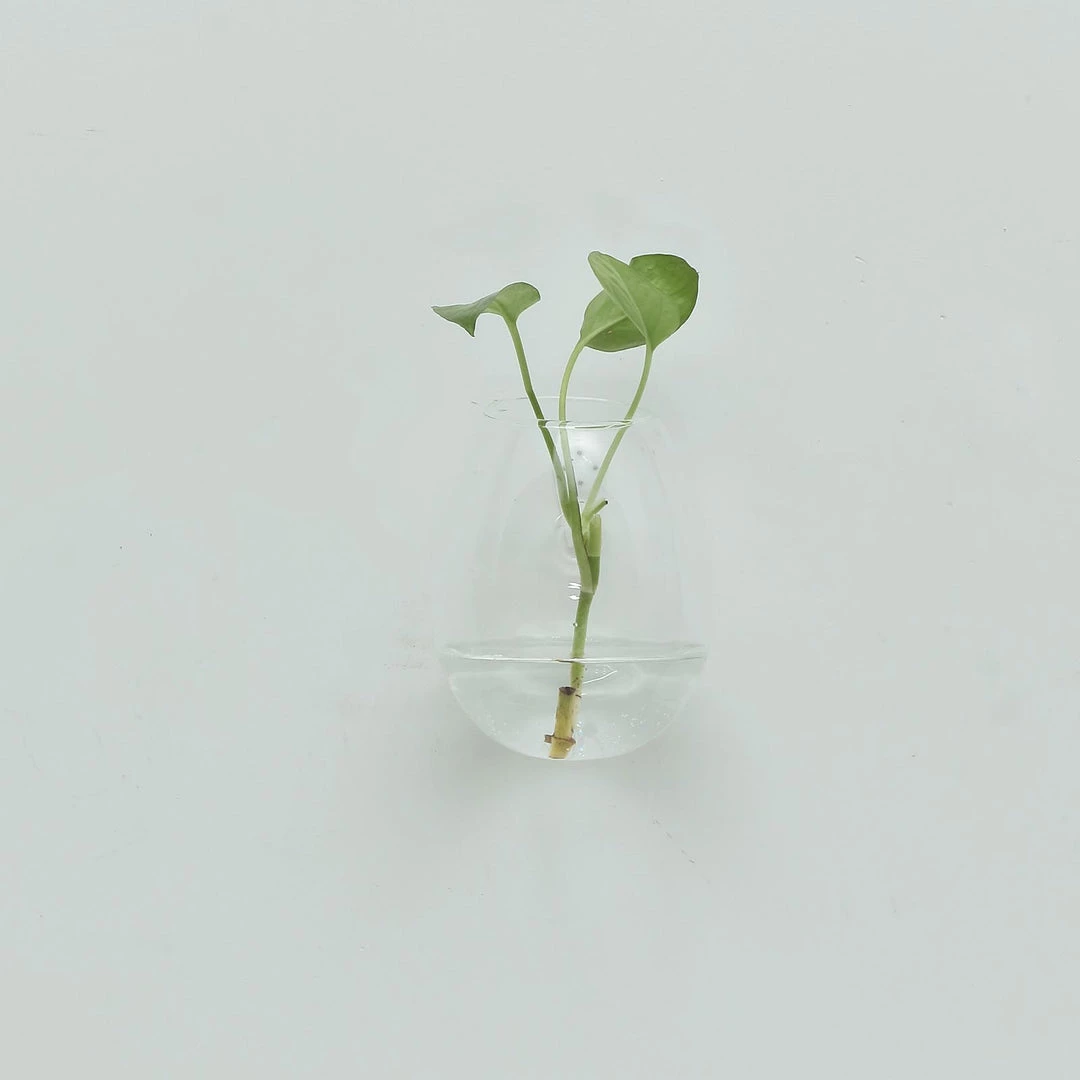 HIER_5200 Chargers & Centerpieces 3 Pack | Egg Shaped Glass Wall Vase | Indoor Wall Mounted Planters | Hanging Terrariums 27 HIER_5200 Chargers & Centerpieces 3 Pack | Egg Shaped Glass Wall Vase | Indoor Wall Mounted Planters | Hanging Terrariums