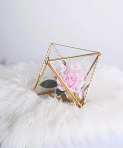 HIER_4810 9" Diamond Prism Hanging Gold Metal Geometric Glass Terrarium, Multipurpose Air Plants Holder 26 HIER_4810 9