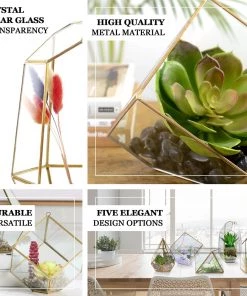 HIER_4810 9" Diamond Prism Hanging Gold Metal Geometric Glass Terrarium, Multipurpose Air Plants Holder 18 HIER_4810 9