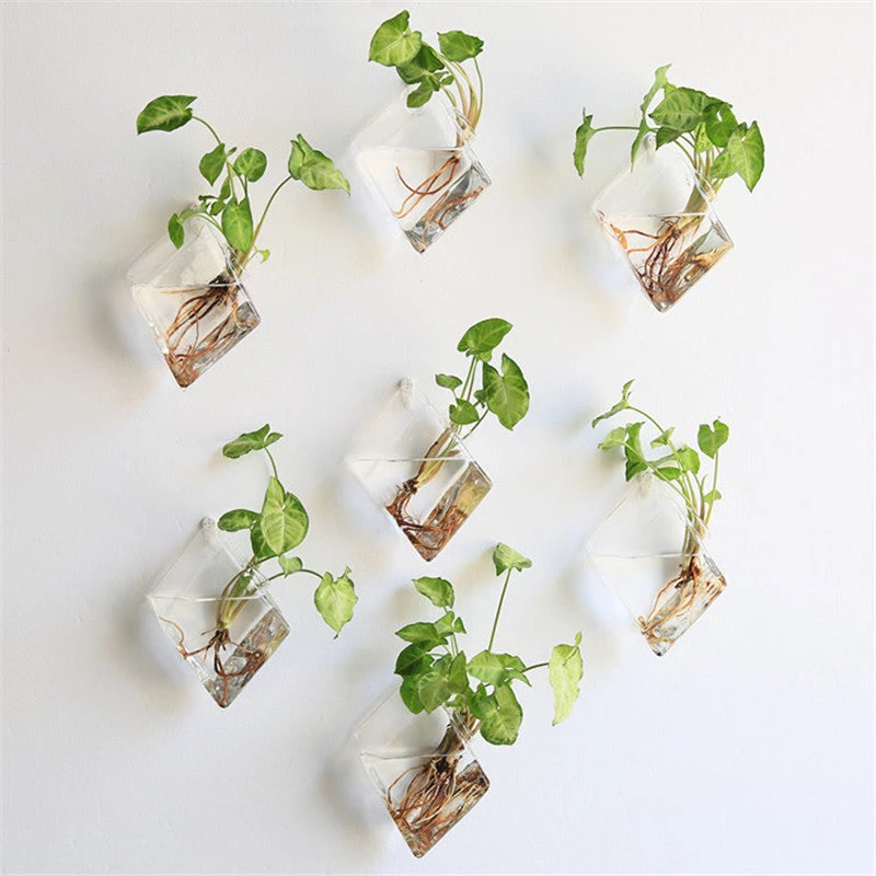 HIER_3400 3 Pack | Hexagon Glass Wall Vase | Indoor Wall Mounted Planters | Hanging Terrariums 24 HIER_3400 3 Pack | Hexagon Glass Wall Vase | Indoor Wall Mounted Planters | Hanging Terrariums