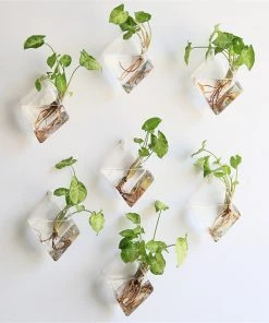 HIER_5200 Chargers & Centerpieces 3 Pack | Egg Shaped Glass Wall Vase | Indoor Wall Mounted Planters | Hanging Terrariums 57 HIER_5200 Chargers & Centerpieces 3 Pack | Egg Shaped Glass Wall Vase | Indoor Wall Mounted Planters | Hanging Terrariums