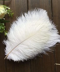 HIER_5170 12 Pack | 13