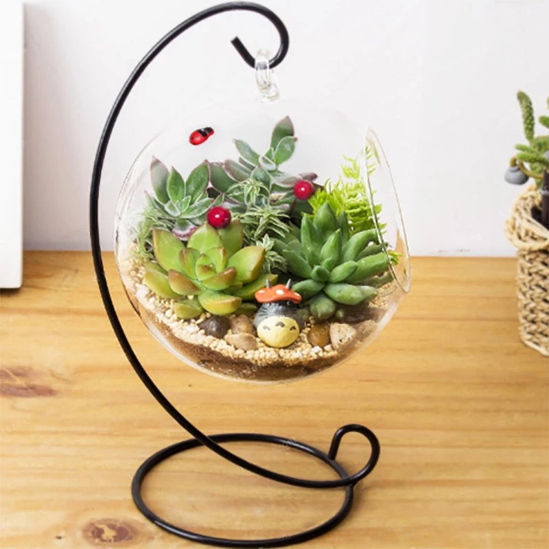 HIER_1600 Artificial Succulents & Terrariums Wholesale 3 Pack | 3" Artificial PVC Echeveria Orion Decorative Succulent Plants 11 HIER_1600 Artificial Succulents & Terrariums Wholesale 3 Pack | 3" Artificial PVC Echeveria Orion Decorative Succulent Plants