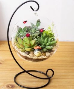 HIER_1600 3 Pack | 4" Artificial PVC Mini Jelly Bean Decorative Succulent Plants Artificial Succulents & Terrariums Wholesale 24 HIER_1600 3 Pack | 4