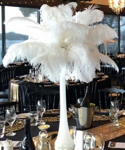 HIER_5170 12 Pack | 13