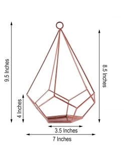 HIER_4330 2 Pack | 9