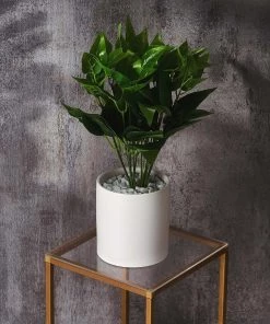 HIER_5170 2 Pack 8"x8" Plexiglass Sheets, 3mm Thick Clear Acrylic Sheets With Protective Film Chargers & Centerpieces 22 HIER_5170 2 Pack 8