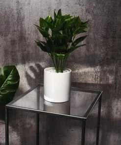 HIER_5170 Chargers & Centerpieces 4 Pack | Plexiglass Sheets, 3mm Thick Clear Acrylic Sheets With Protective Film - Assorted Size