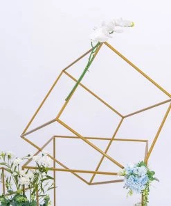 HIER_4330 2 Pack | 24