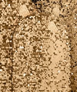 HIER_3110 Backdrop Panels 5ft Sparkly Gold Big Payette Sequin Round Top Wedding Arch Frame Cover, 2-Sided Fit Backdrop Stand Cover