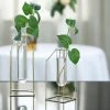 HIER_4330 Pack Of 2 | Geometric Metal Flower Vase Racks Holders | Geometric Vase Style | Free Glass Tubes Included Chargers & Centerpieces