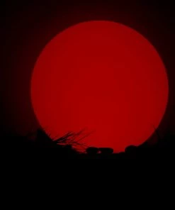 HIER_3740 16” LED Color Cordless Color Changing Floating Pool Lights With Remote - 16 RGB Colors With 4 Color Modes Chargers & Centerpieces