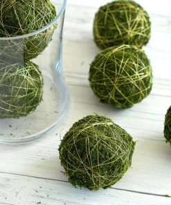 HIER_1720 Pack Of 6 | 3