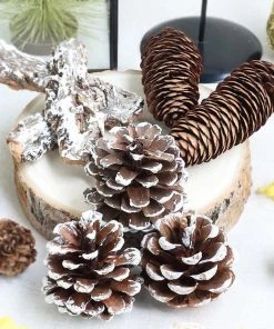 HIER_1720 Chargers & Centerpieces Pack Of 9 | Natural Pine Cones And Barks Assorted Potpourri Vase Fillers Bowl DIY Table Decorations