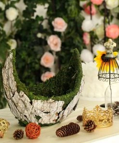 HIER_1600 Chargers & Centerpieces Set Of 2 | Natural White Bark Preserved Moss Planter Box With Twine - 9" & 13"