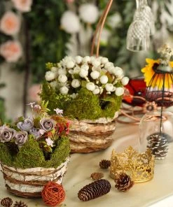 HIER_1600 Set Of 2 | Moss & Birch Wood Weaved Crown Rustic Planter Box - 6" & 7" Chargers & Centerpieces