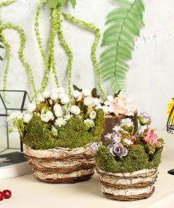 HIER_1600 Set Of 2 | Moss & Birch Wood Weaved Crown Rustic Planter Box - 6" & 7" Chargers & Centerpieces