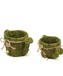 HIER_1600 Set Of 2 | Preserved Moss Watering Can Planter Box With Natural Braided Twine Bow - 11" & 10" 22 HIER_1600 Set Of 2 | Preserved Moss Watering Can Planter Box With Natural Braided Twine Bow - 11