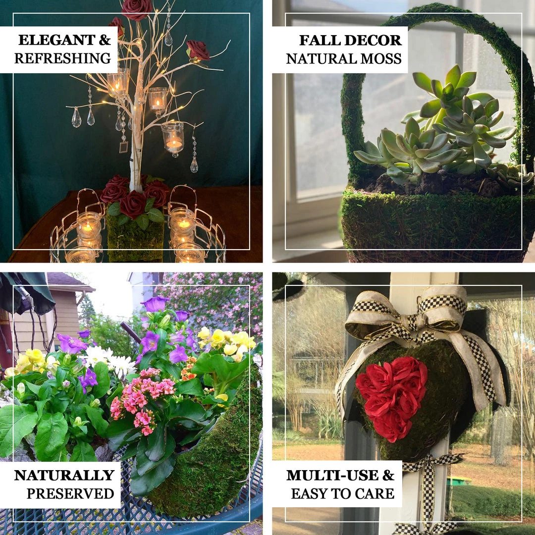 HIER_1600 Set Of 2 | Natural Twig Green Heart Preserved Moss Planter Box - 14" & 11" Chargers & Centerpieces 4 HIER_1600 Set Of 2 | Natural Twig Green Heart Preserved Moss Planter Box - 14" & 11" Chargers & Centerpieces